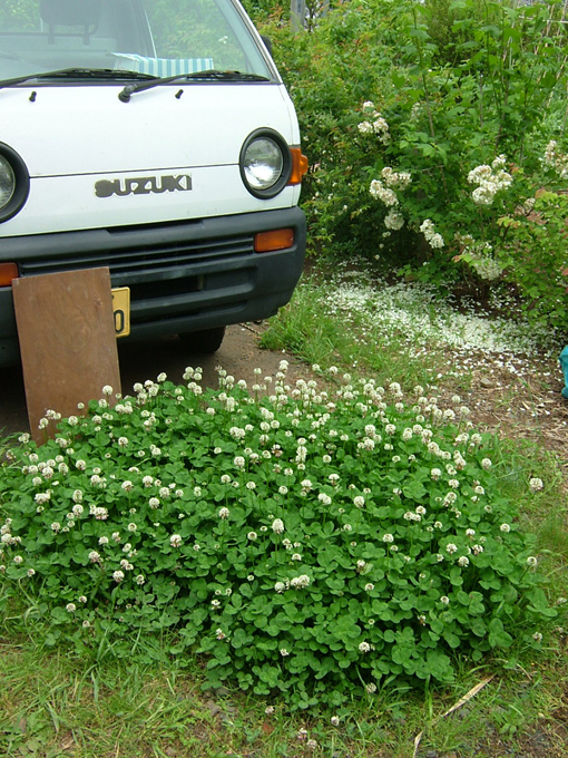 f0000148_10201138.jpg