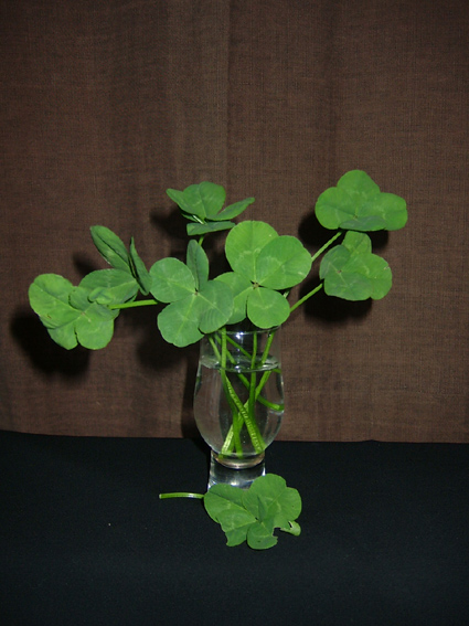f0000148_10215523.jpg