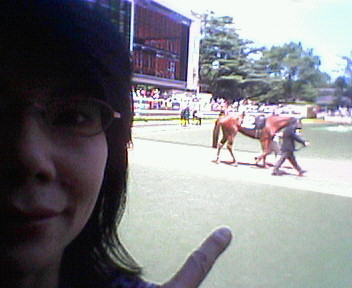 f0073848_19172274.jpg