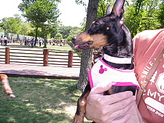 c0123149_20391690.jpg