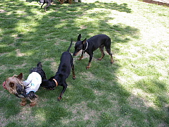 c0123149_20405083.jpg