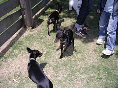 c0123149_2040748.jpg