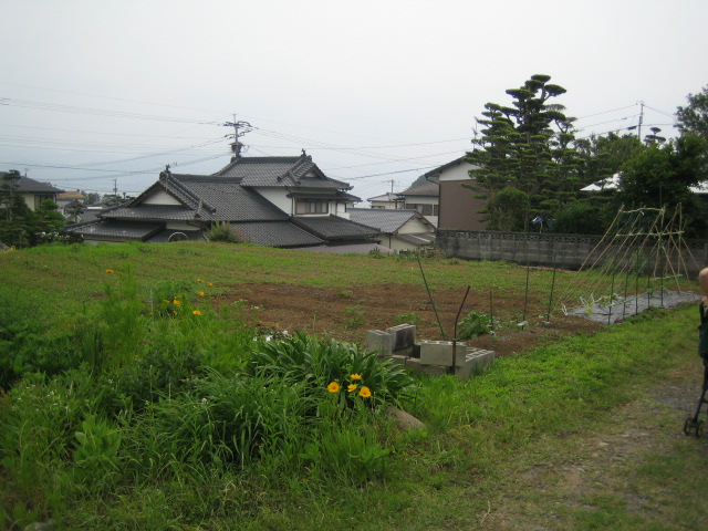 b0070950_0104476.jpg