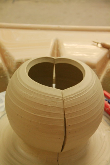 d0004651_823535.jpg
