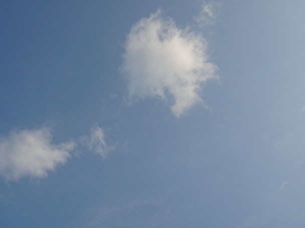 e0017051_632999.jpg