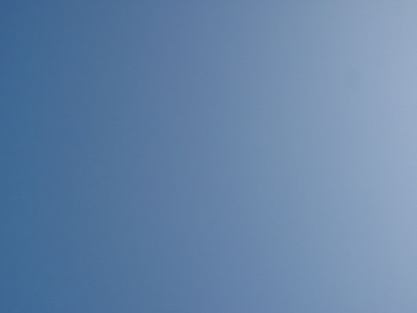e0017051_643777.jpg