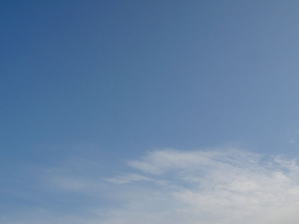 e0017051_651899.jpg