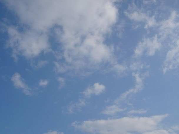 e0017051_66092.jpg