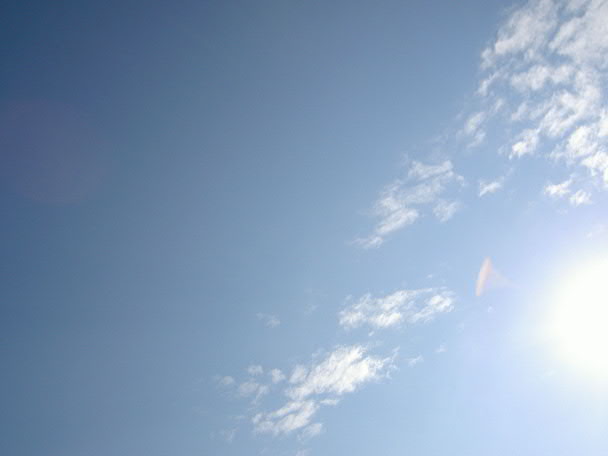 e0017051_663825.jpg