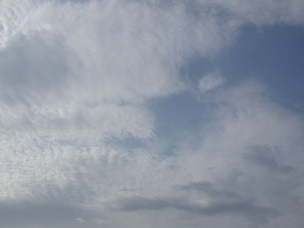 e0017051_673330.jpg
