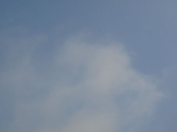 e0017051_68971.jpg