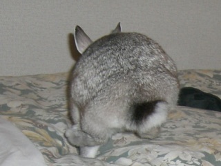 f0104057_22532922.jpg