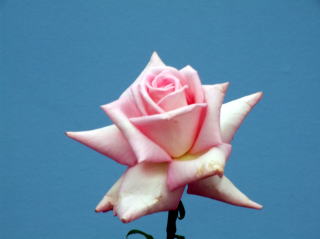 e0088260_2240161.jpg