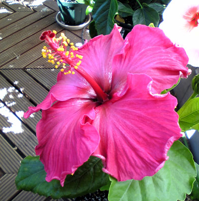 b0101263_11383364.jpg