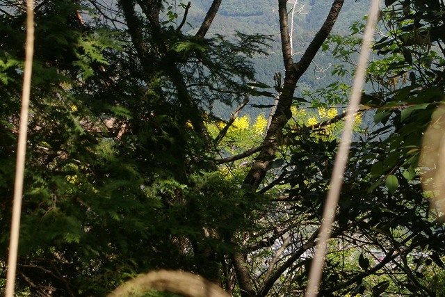 c0020265_1427572.jpg