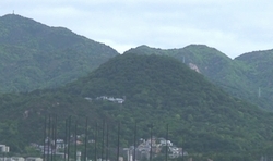 d0083265_9382025.jpg