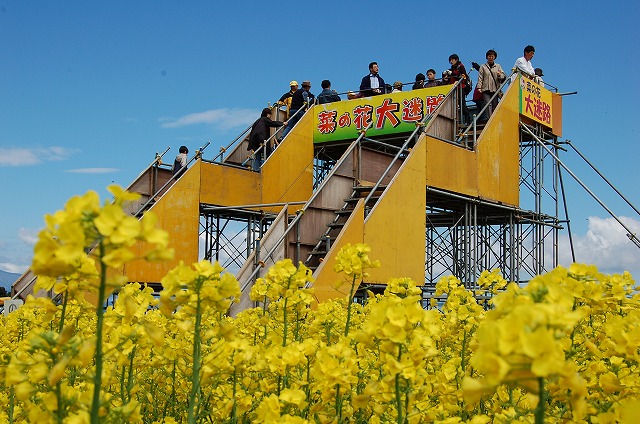 c0048667_2226176.jpg