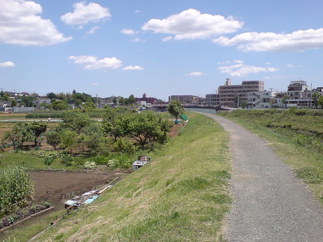 e0078069_20255687.jpg