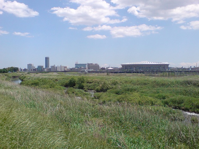 e0078069_2026335.jpg