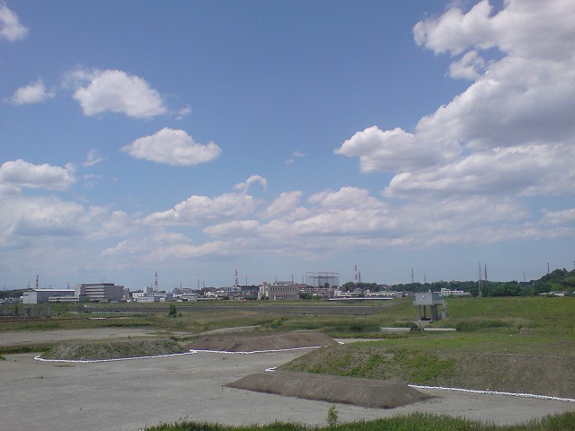 e0078069_202697.jpg