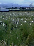 d0109373_2133610.jpg