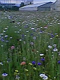 d0109373_2144054.jpg