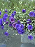 d0109373_216198.jpg