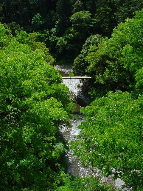 f0131778_19402743.jpg