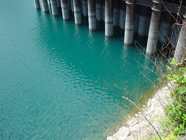 f0131778_19465564.jpg