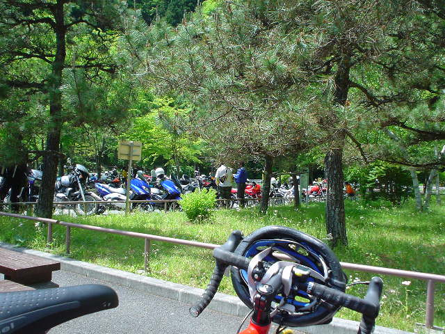 f0131778_19495339.jpg
