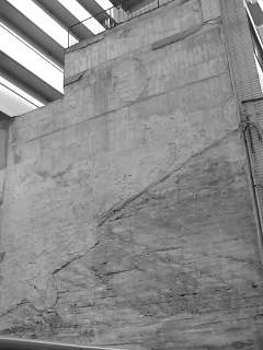 f0100480_930117.jpg
