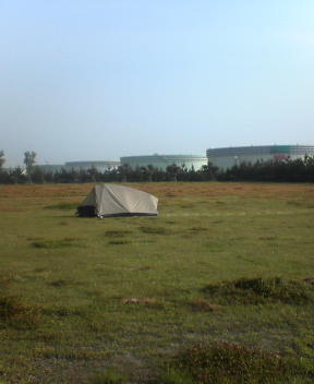 f0137483_8133099.jpg