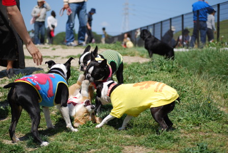 c0092787_18431722.jpg