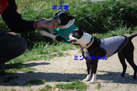 c0092787_18471755.jpg