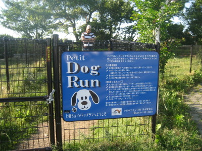 c0092787_1851548.jpg