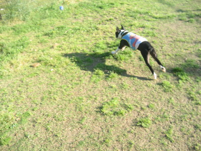 c0092787_1852637.jpg