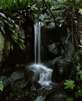 f0018790_0193866.jpg