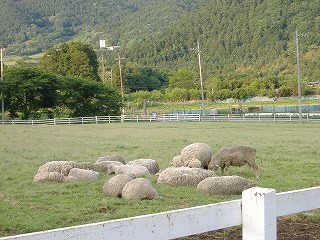 c0107997_2282910.jpg