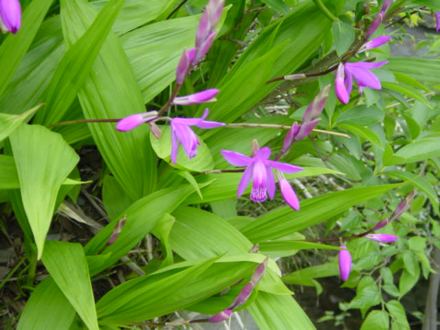 b0083902_1717201.jpg