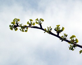 f0032403_22163320.jpg
