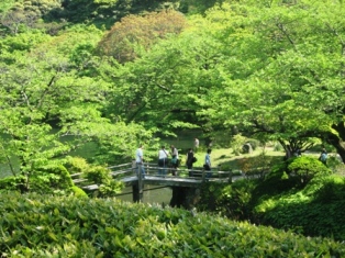 c0017505_11131939.jpg