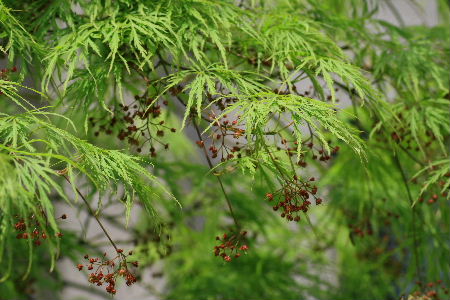 f0041606_20111846.jpg