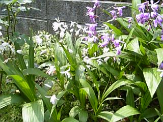 e0098908_22232487.jpg