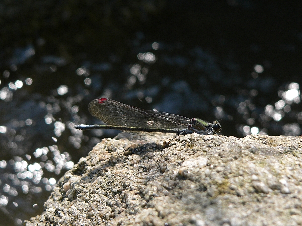 e0002314_21212748.jpg
