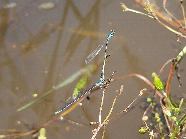 e0002314_21331039.jpg
