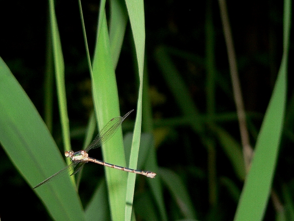 e0002314_21435686.jpg