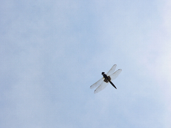 e0002314_21442415.jpg