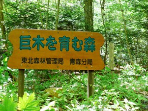e0097615_1717078.jpg