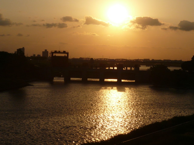 a0077616_2026573.jpg