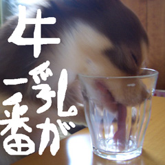 c0036617_14163398.jpg